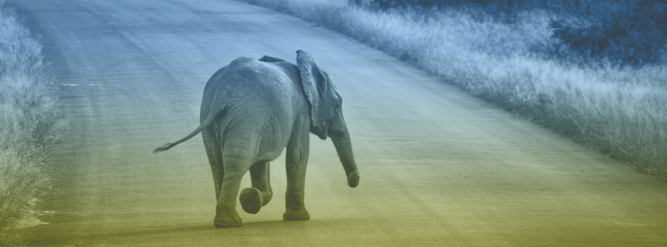 elephant running color 2