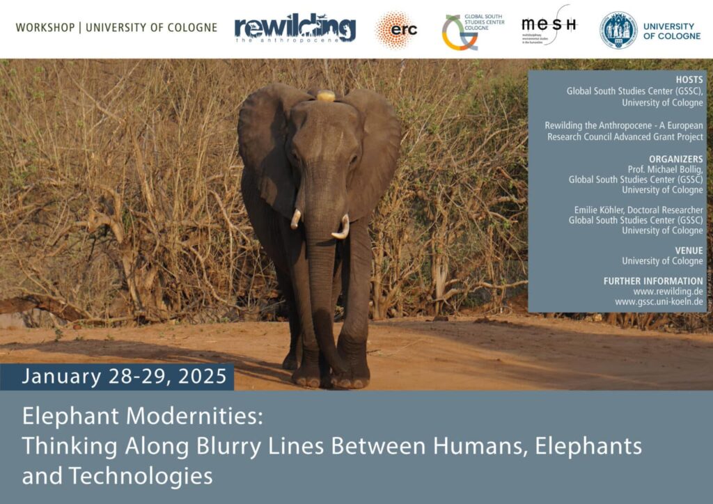 Elephant Modernities: Thinking along blurry lines between humans ...